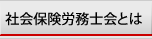 社会保険労務士とは